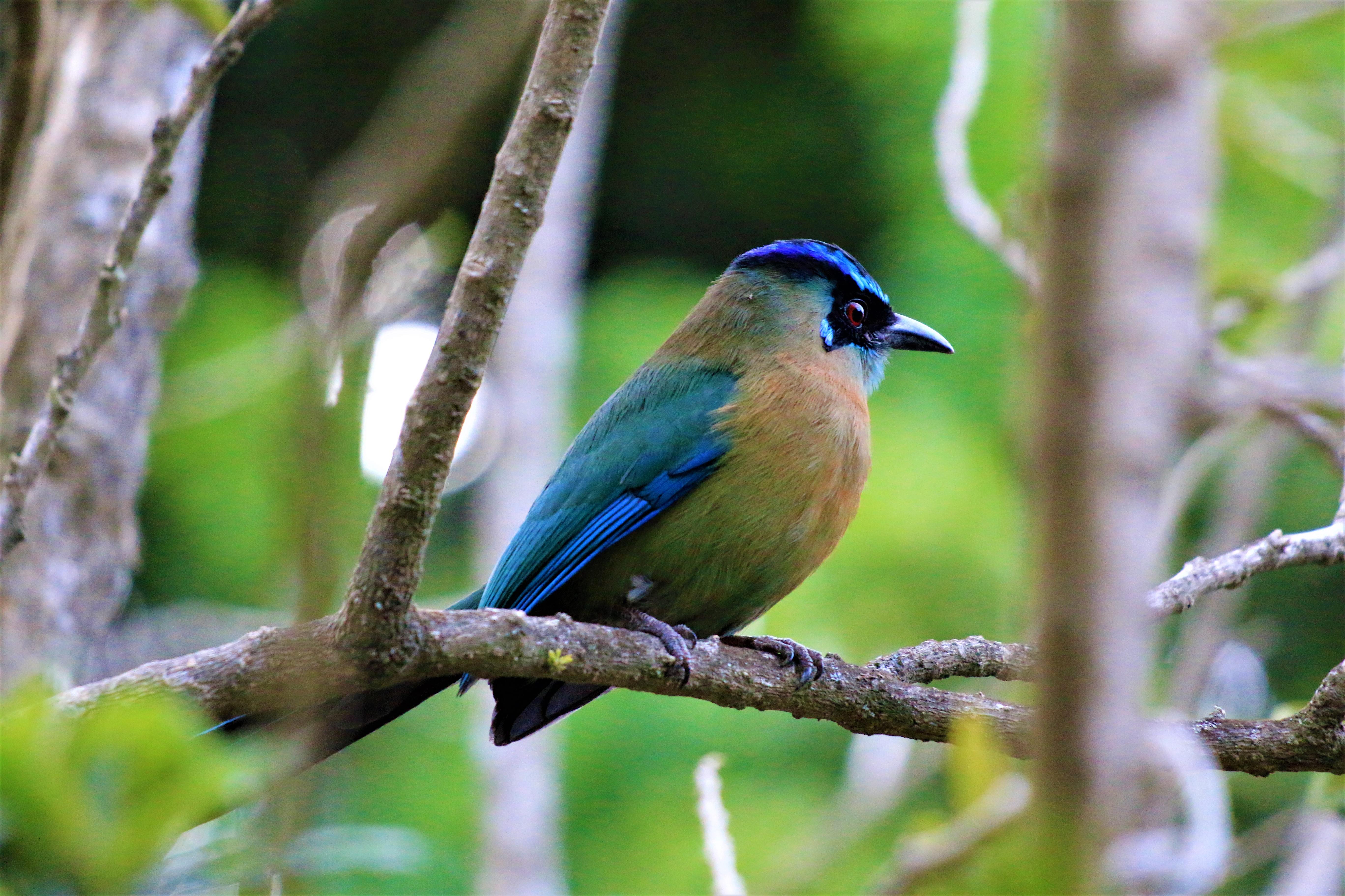 Costa Rica